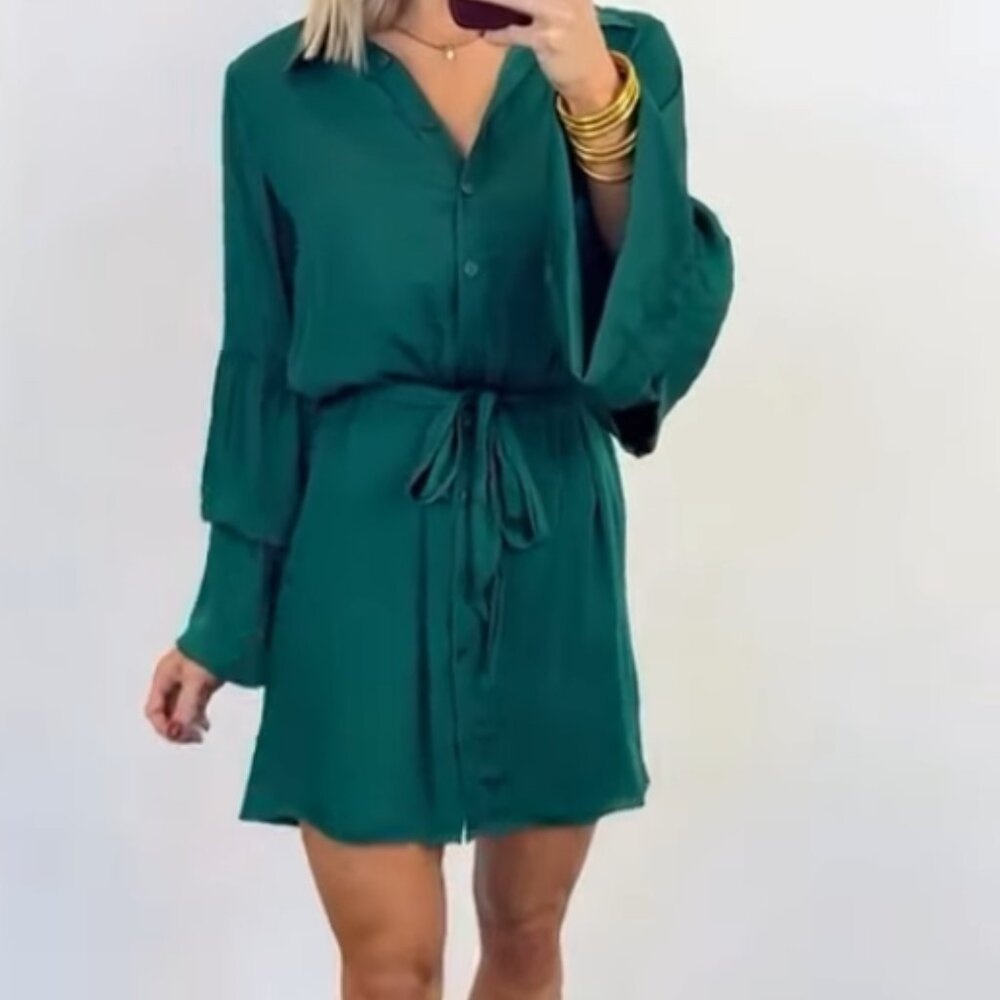 Naked Zebra Green Button Down Dress